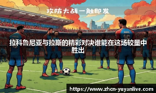雨燕体育直播官方网站