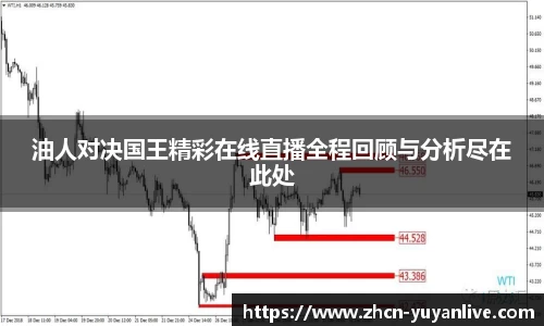 雨燕体育直播APP
