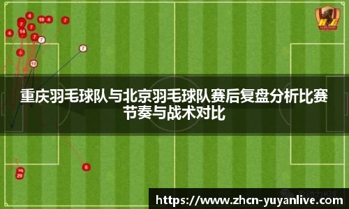 雨燕体育直播APP