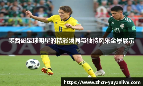 雨燕体育直播官方网站