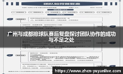 雨燕体育直播官方网站