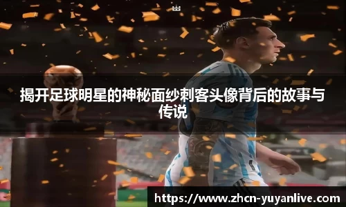 雨燕体育直播平台