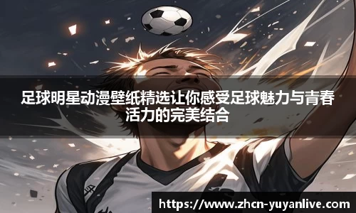 雨燕体育直播APP