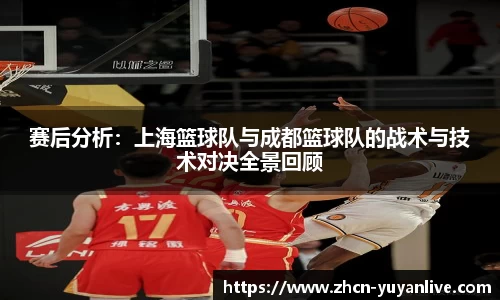 雨燕体育直播平台